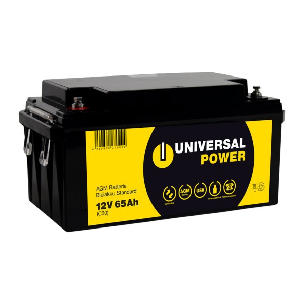 Universal Power UPS12-65 UPS 12V 65Ah AGM