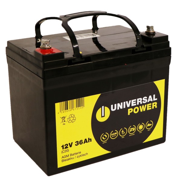 Universal power 12-36 12V 36 Ah AGM grasmaaier batterij